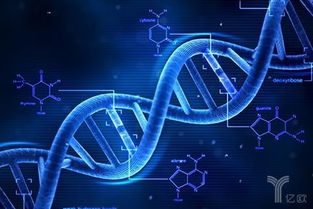 基因編輯新銳 會是下一個華大基因嗎？