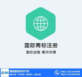 商標續展在線咨詢指南 以騰銳智創為例，解讀大嶺山地區網絡技術服務類商標維護要點